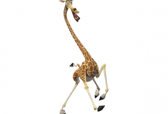 Обои веселый жираф на рабочий стол » Мадагаскар