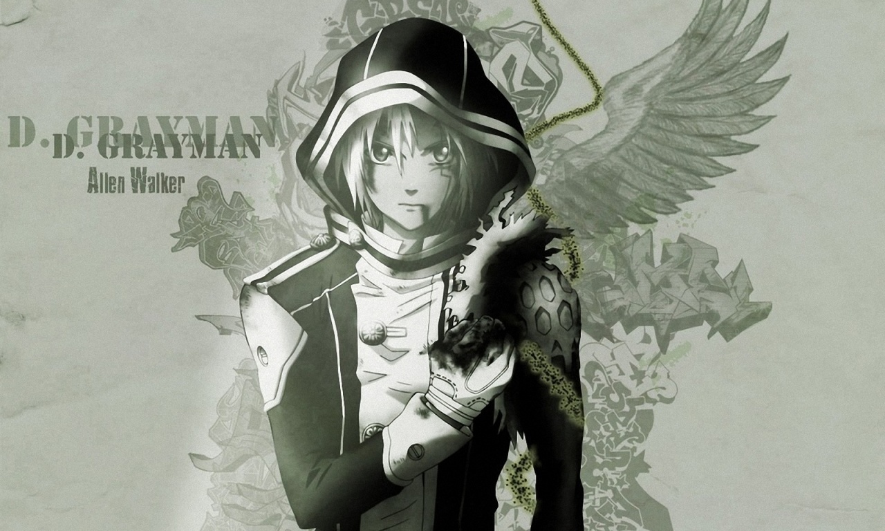  , d.gray-man, 