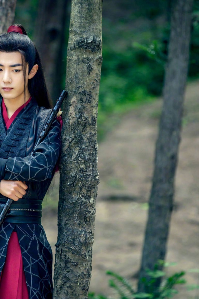 mo dao zu shi, магистр дьявольского культа, сяо Чжань, вэй у сянь, старейшина и лин, заклинатели, мистика, некромант, новелла, портрет, дорама, магия